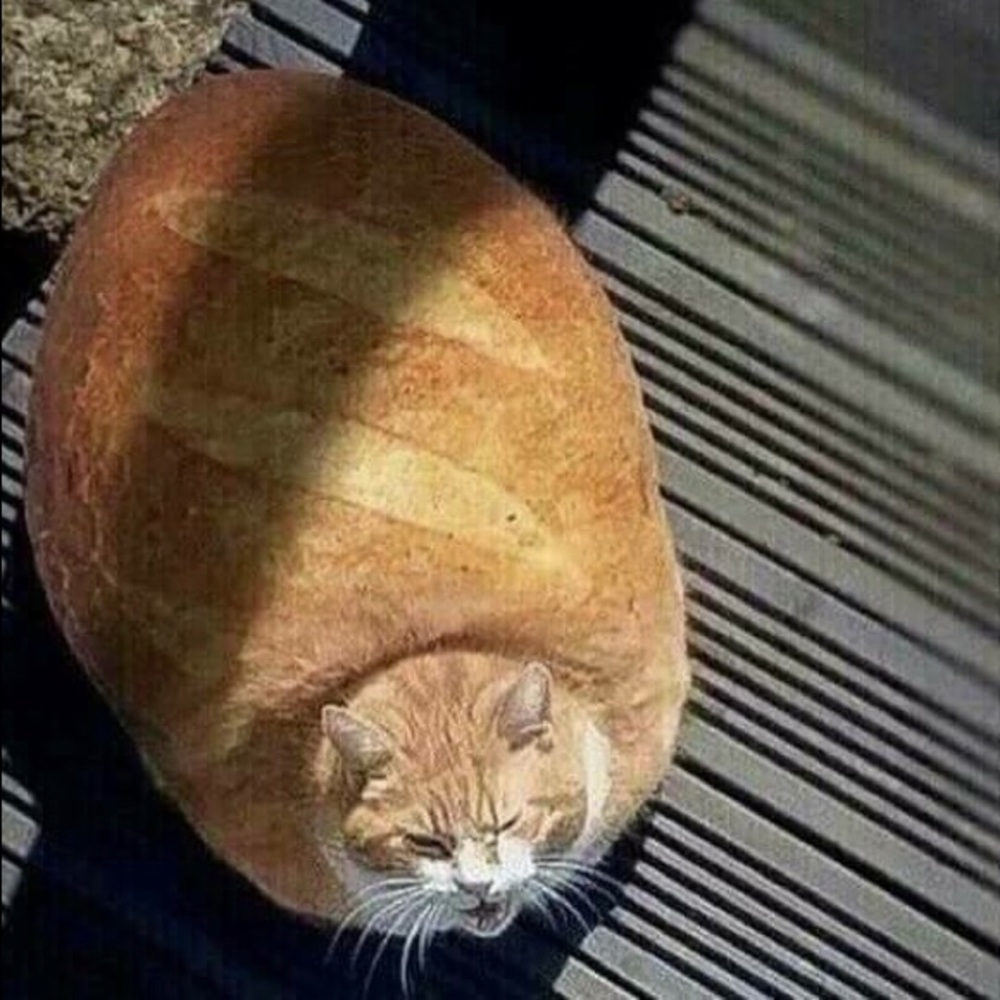 Meet your Posher, Dom